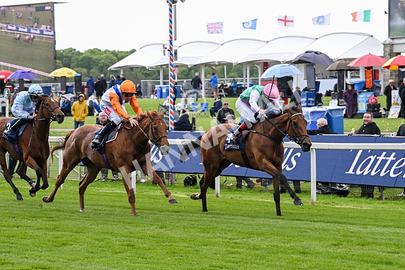 130526-Race 5-Legacy Link-3249 - Race 5 4.05pm Tattersalls Musidora Stakes