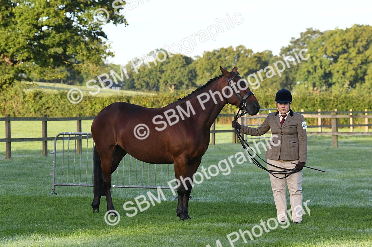 SBM_32541 - S15 - Condition & Turnout In Hand