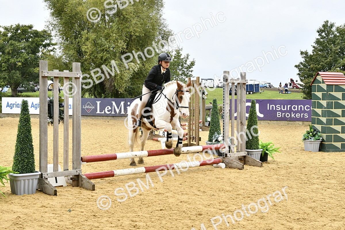 SBM_60542 - J61 - Mini Clear Round 30cm & 40cm