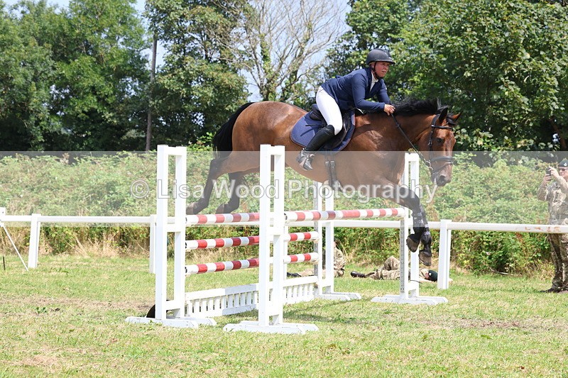 3E7A3389 - Class 10: Senior Foxhunter/1.20 open