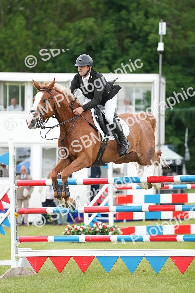 SBM_05303 - Class 201 - British Horse Feeds Speedi Beet Horse of the Year Show Grade  C