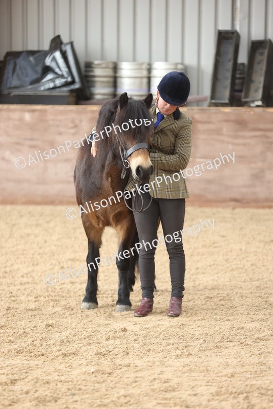 20251109-0659 - Class 22 - Geldings 4 Years and over