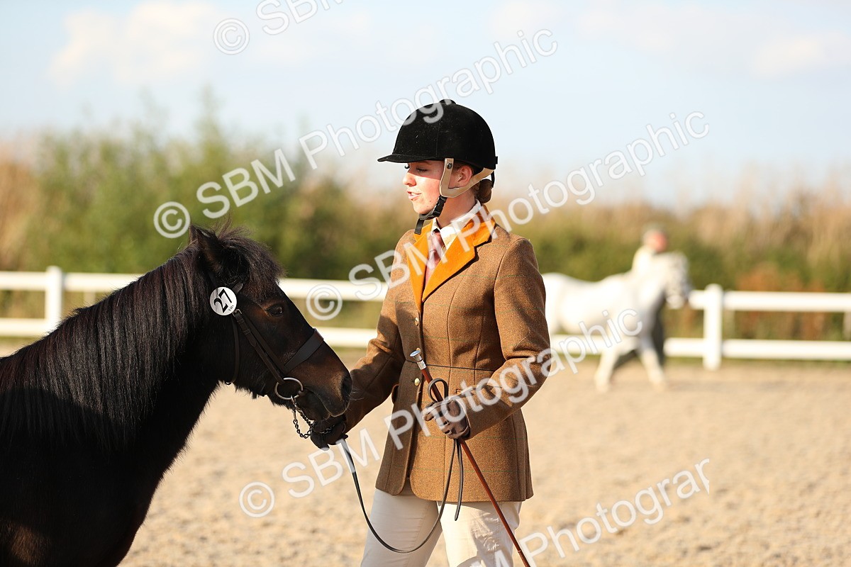 SBM_09031 - Class 29 IH Veteran Pony