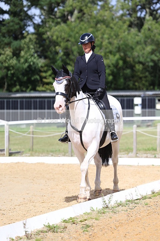 3E7A4051 - Class 9: Novice 6 Section B Championship