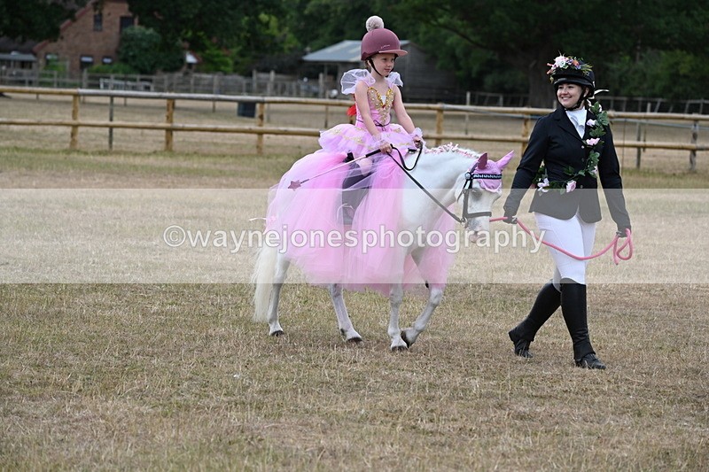 WJ6_8629 - Class 11 Fancy Dress