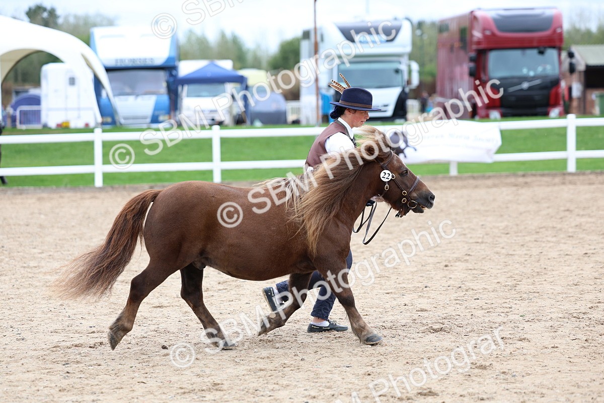 SBM_05952 - Class 29 - IH Veteran Pony