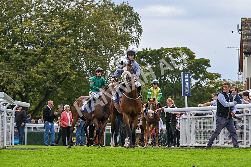 300826-Race 5-Harb-0933 - Race 5 3.55pm Constant Security Handicap