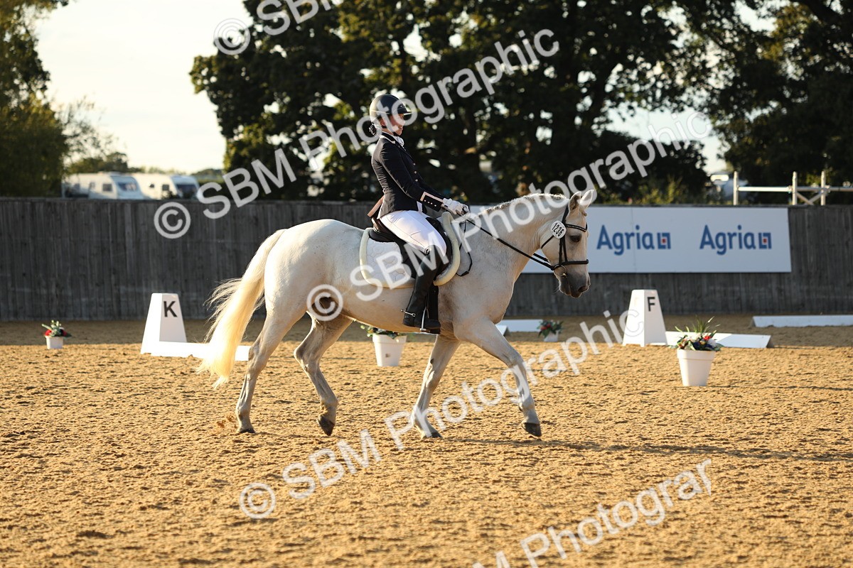 SBM_30522 - D20 - Grand Tour Championship - Elementary 44
