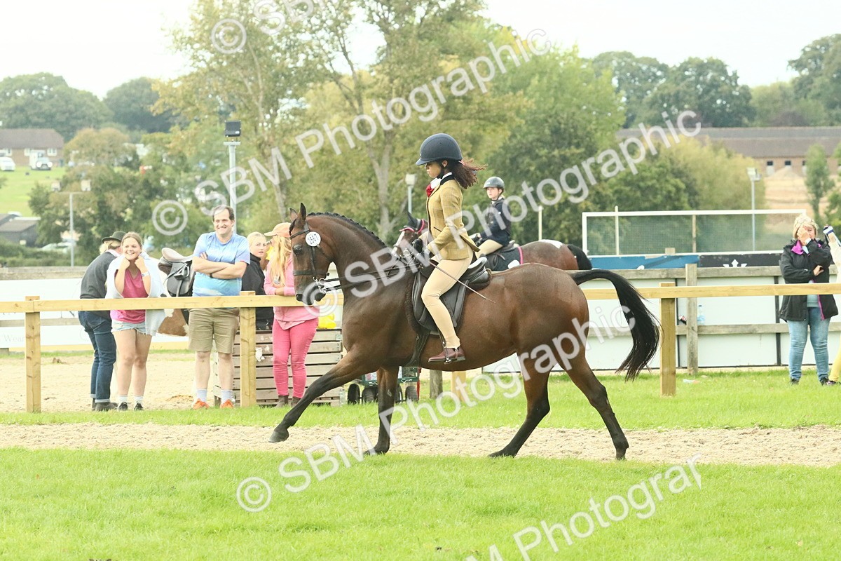 SBM_74083 - S 61 - Show Pony & Show Hunter Pony Ridden