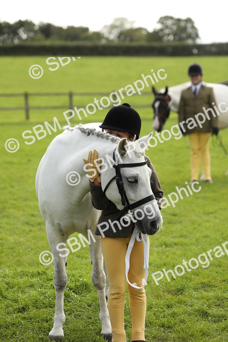 SBM_68703 - S40 - Junior Handler 9-12 Years
