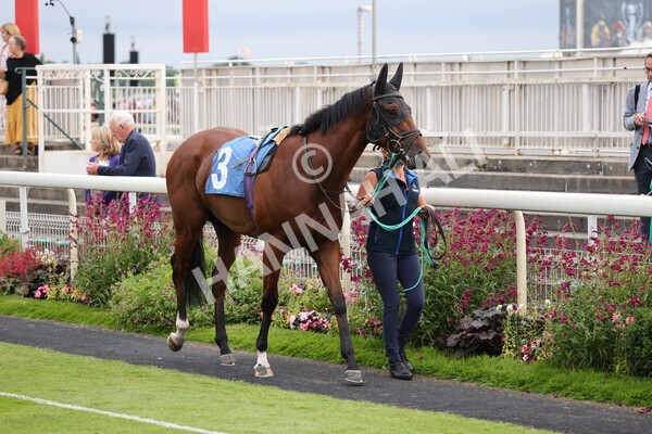 yr23072021r6-3 - Race 6 8.30pm Sky Bet Go-Racing-In-Yorkshire Summer Festival Stakes