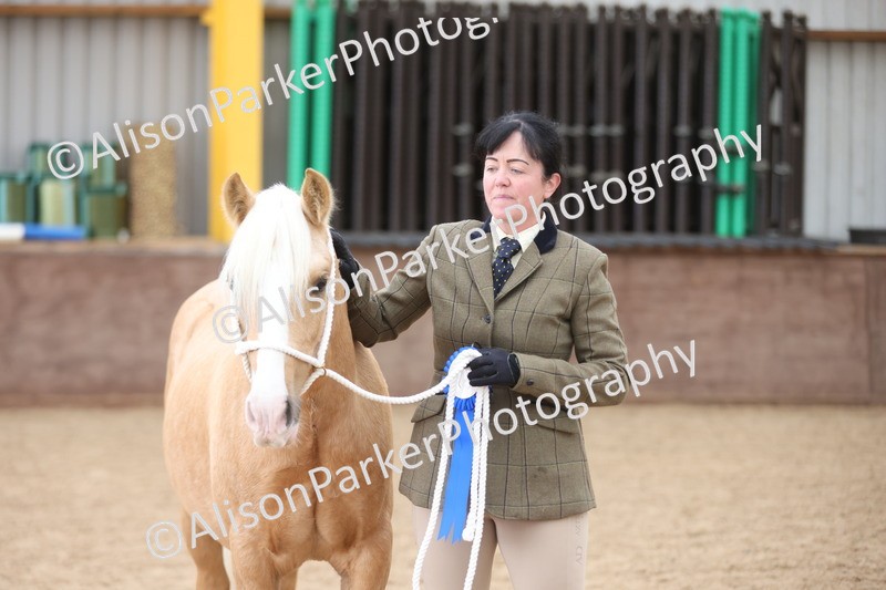 20251109-0867 - Class 25 - Yearling, Colt, Filly or Gelding