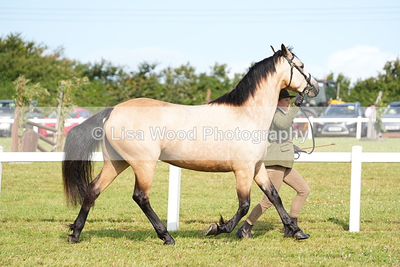 DSC04969 - Class 48: NPS M&M 2/3 year olds