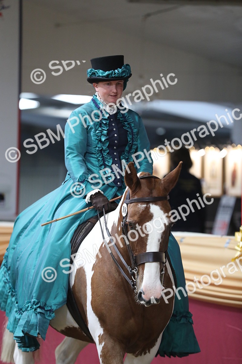 SBM_11960 - Class 106 Ridden Costume- Astride Adult (15-19)