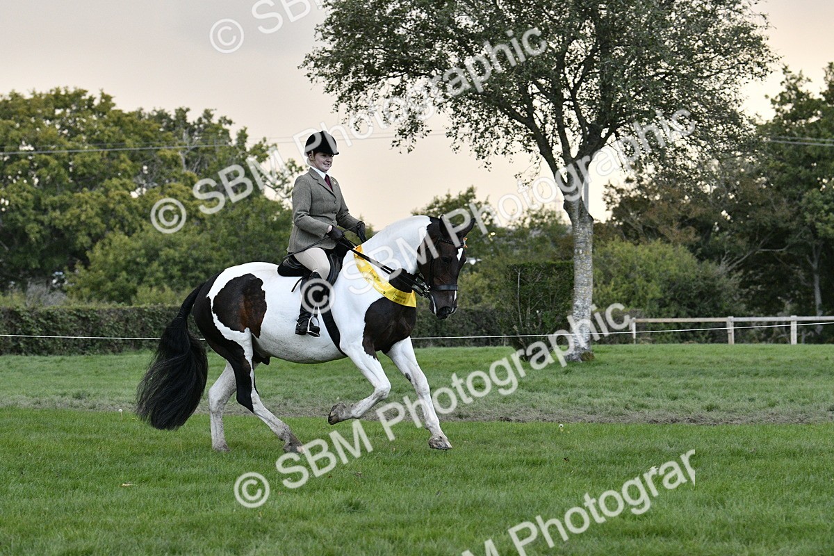 SBM_53297 - S14 - Riding Club Horse
