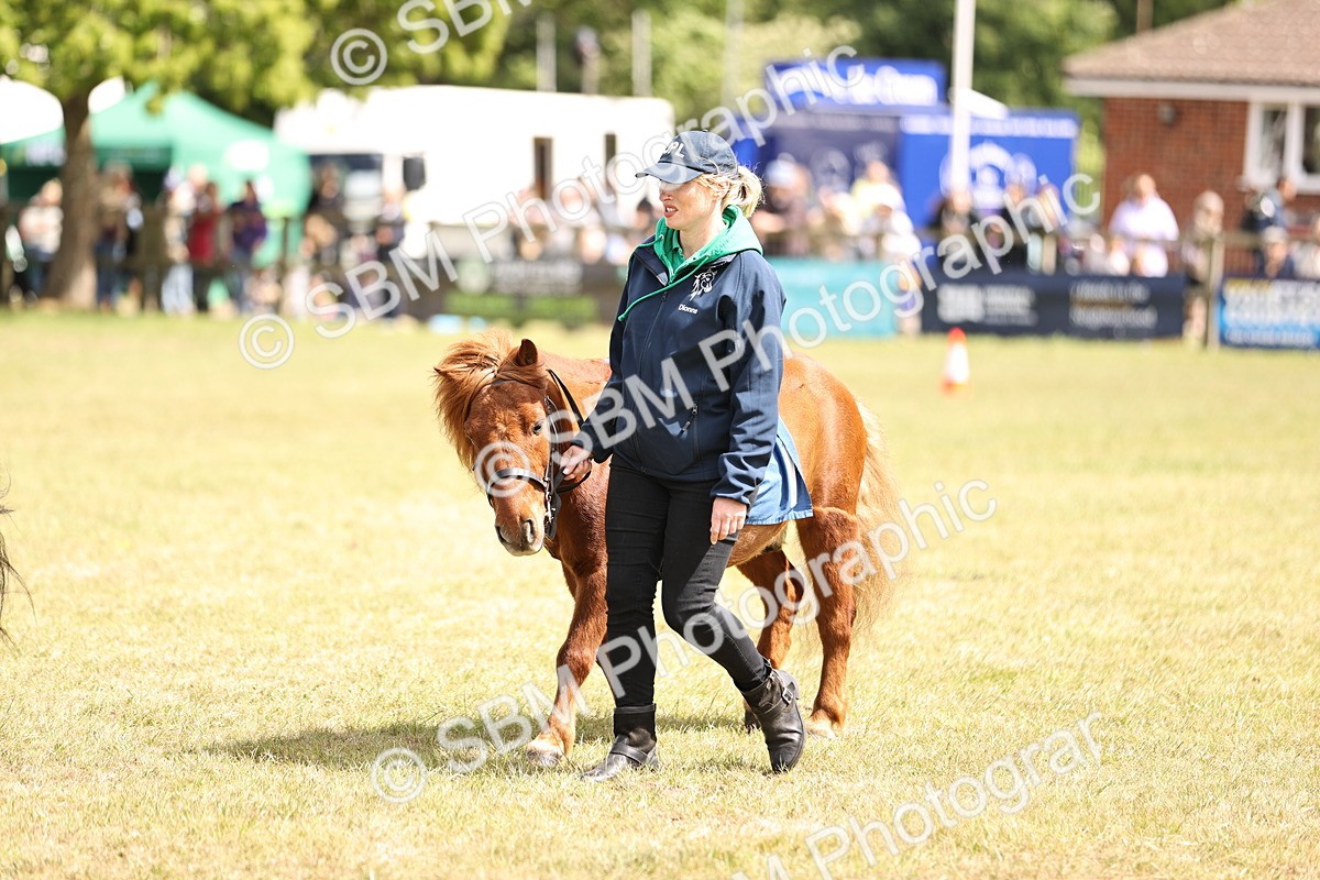 SBM_16378 - Dinky Derby