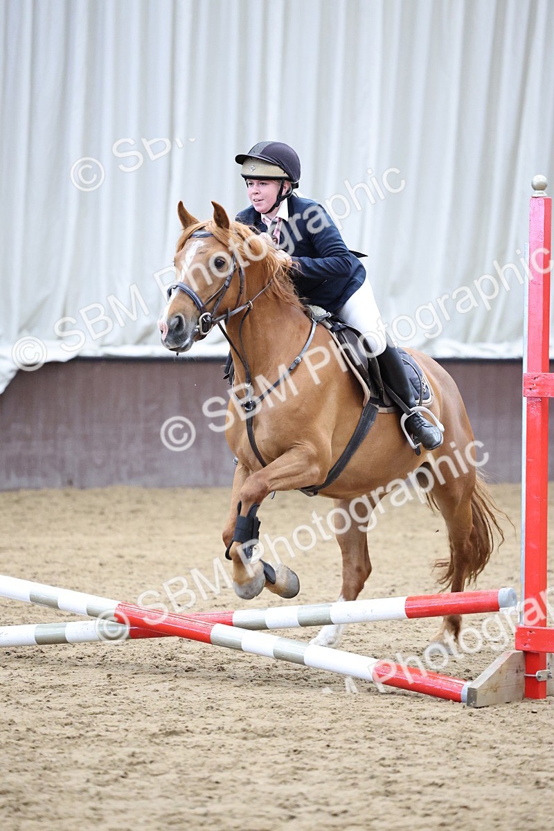 SBM_006998 - Class 1 - 40cm showjumping