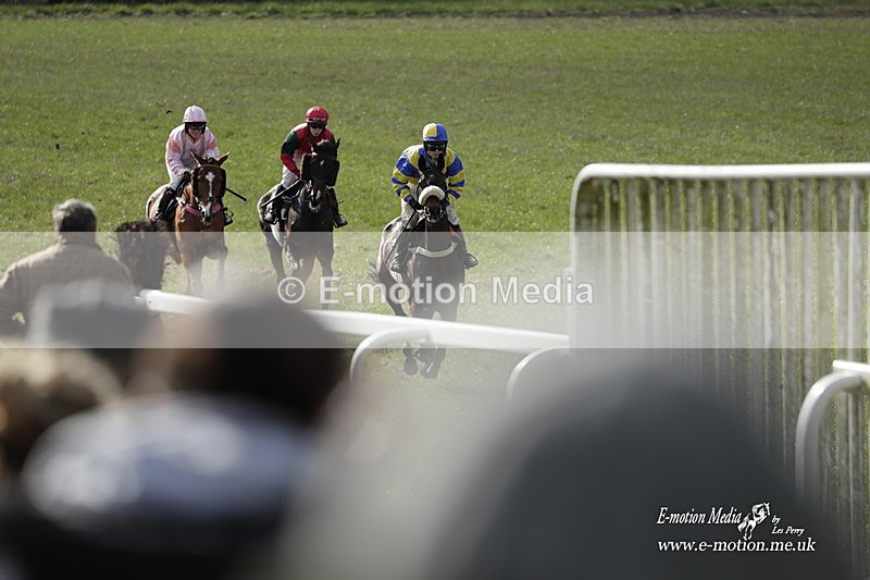 PtP 180323 672 - Shelfield Park Races with Croome & West Warwickshire Hunt  18/03/23
