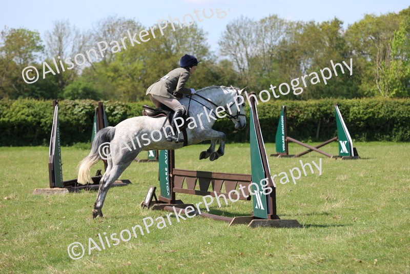 20250427-2597 - Class 20 - Working Hunter Ponies