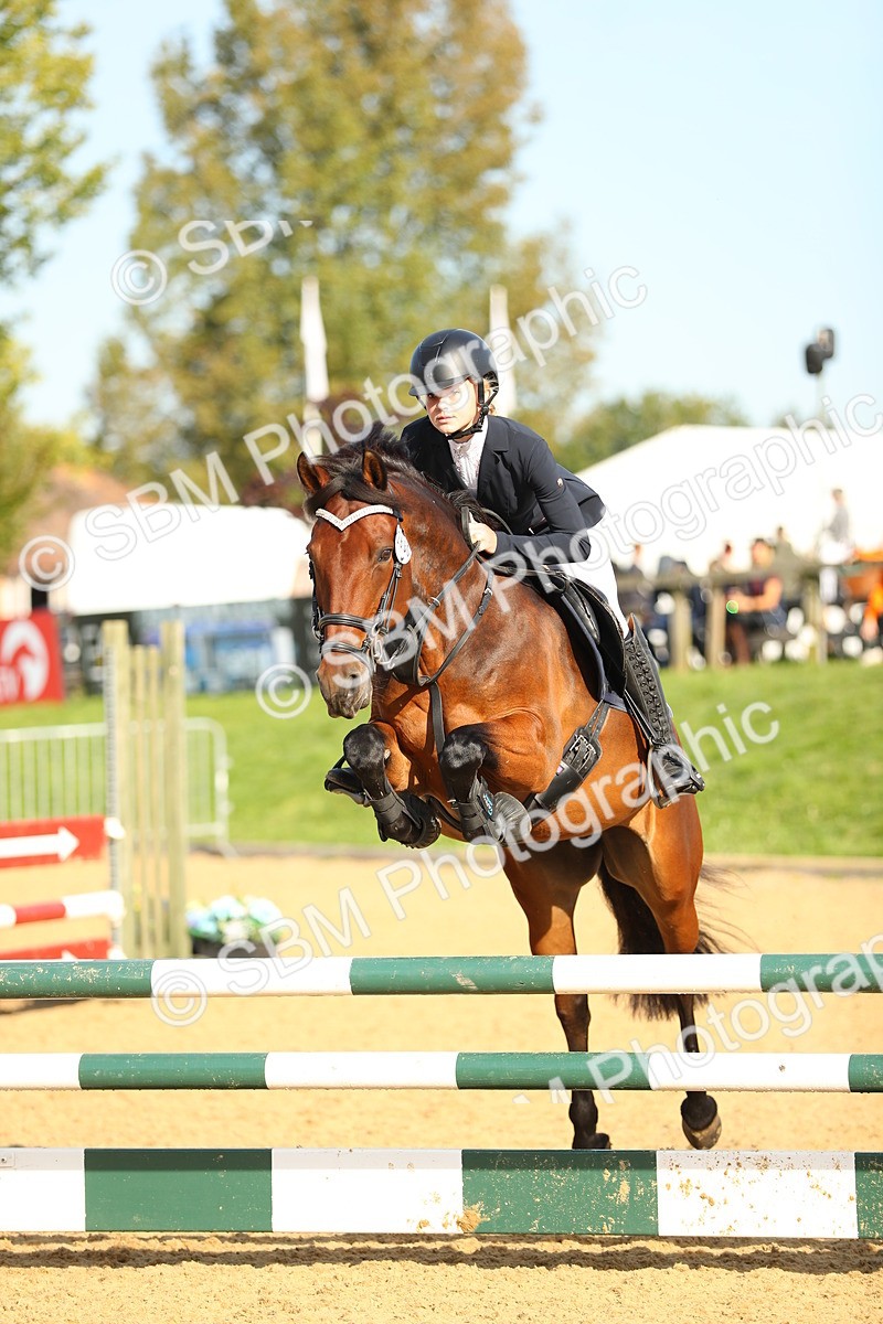 SBM_60289 - J41 - Grand Tour 95cm Championship