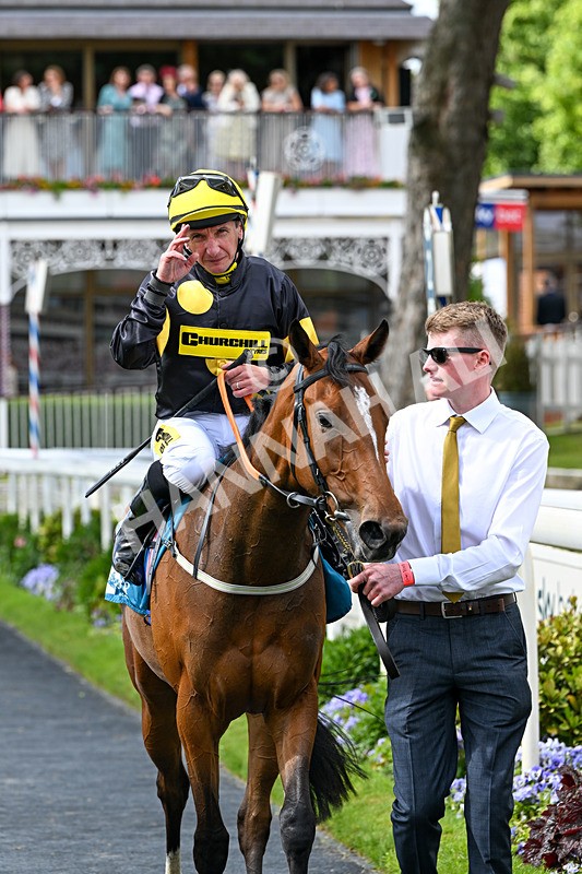 120626-Race 4-Big Negotiator-7590 - Race 4 15.35pm Juddmonte EBF Fillies' Restricted Novice