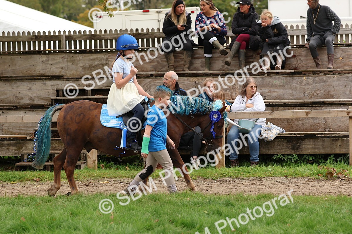 SBM_62158 - S37b - Best Unicorn