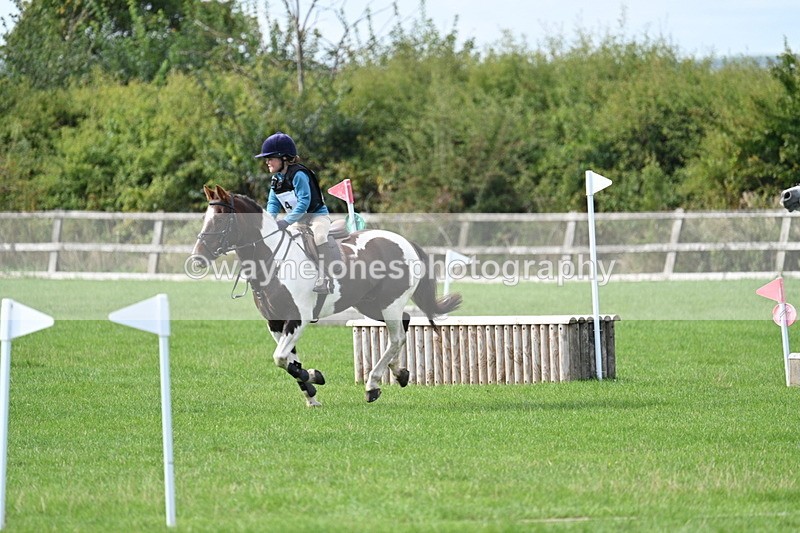 WJ7_8457 - 60cm Pairs