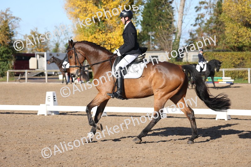 20251102-0484 - Class 3 - Novice 5