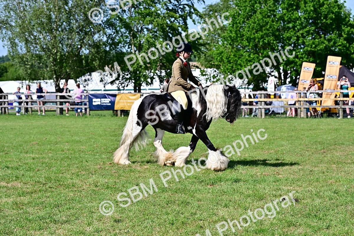 SBM_09372 - Class 63-65 - Traditional Gypsy Cobs In Hand & Ridden