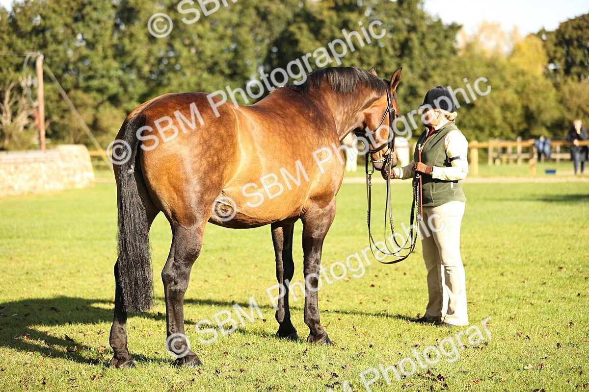 SBM_15727 - S1 - TSR in Hand Horse & Pony Showing