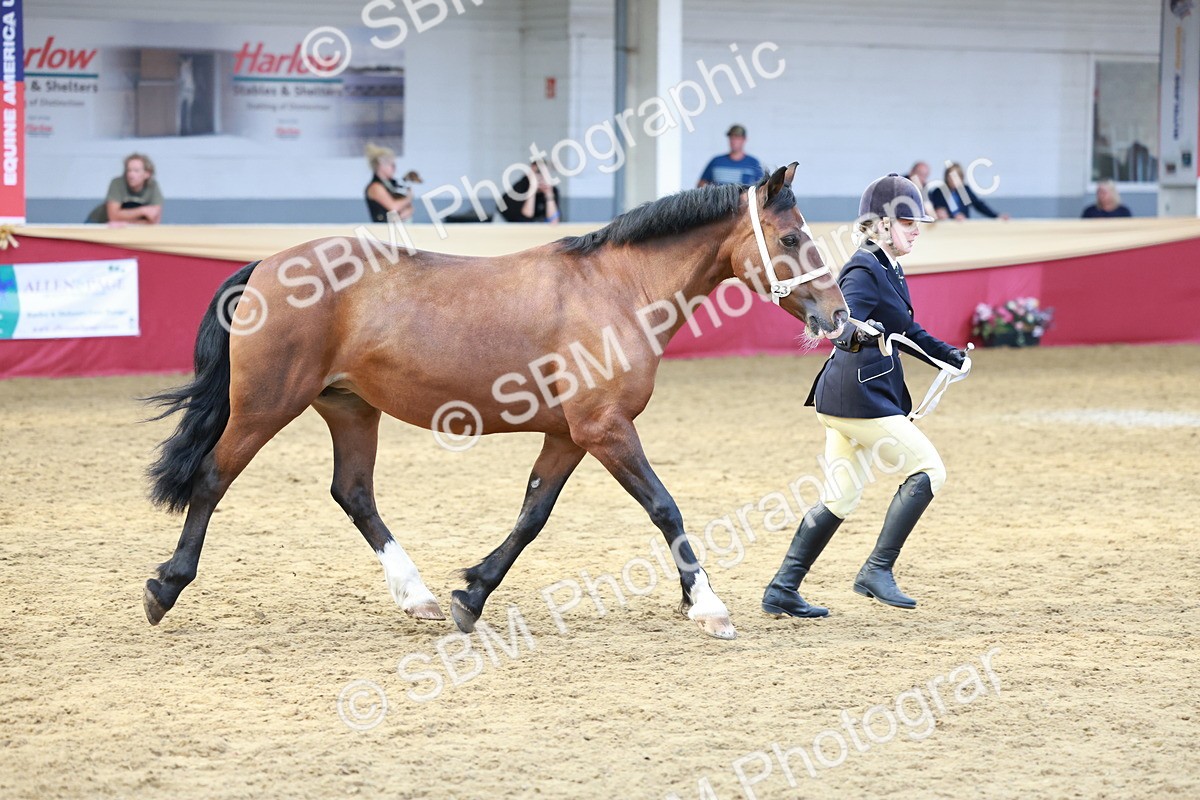 SBM_17509 - Class 951 - M&M IH Supreme Final