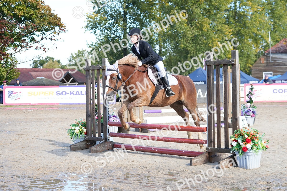 SBM_38256 - J6 - Junior Pony 55cm Championship