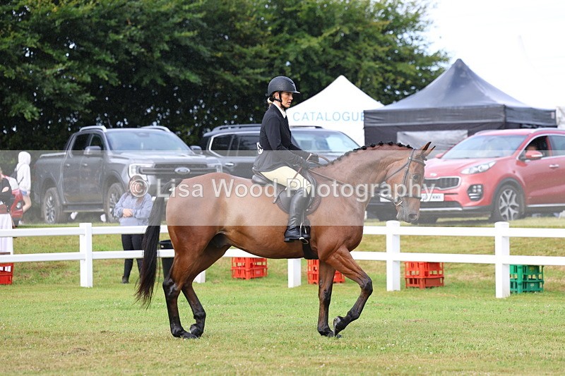 3E7A7994 - Class 2: Rising Star Large Hack/Riding Horse