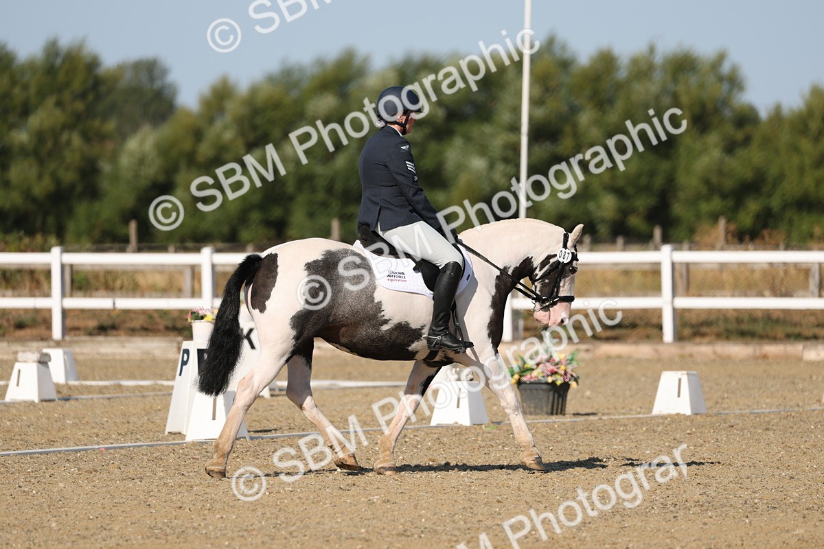 SBM_012718 - Class 1 - P5 Bronze 9.00.10.12