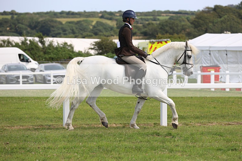 JPP_3873 - Class 23: Working Hunter 80cm