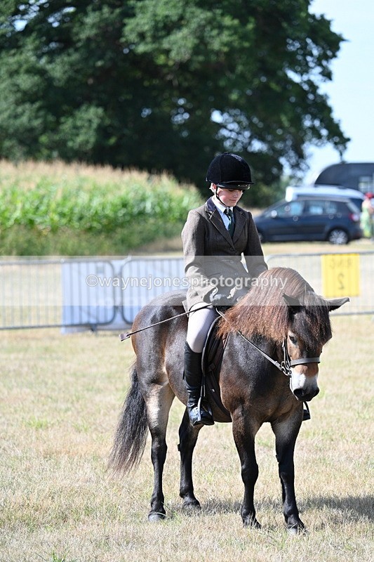 WJ7_2758 - Class 8 Ridden Tack & Turnout