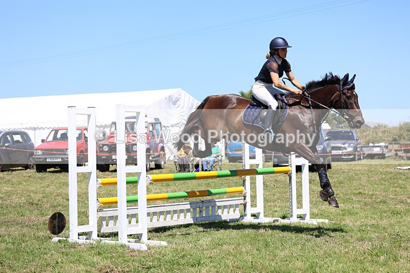 3E7A5677 - Class 9: Senior British Novice/90cm open