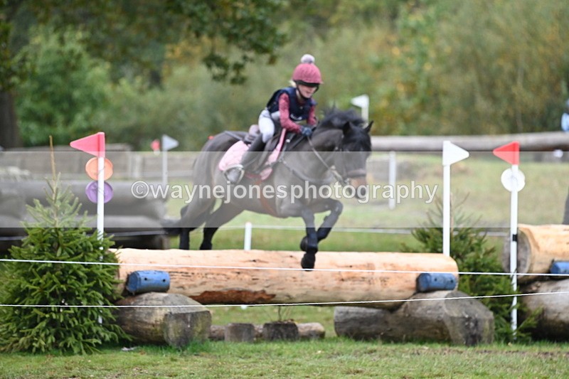 WJ6_2878 - 80cm Cam 1 Pairs Time 12:19 to 12:49