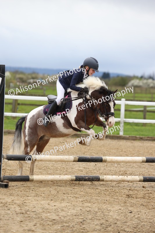 20260403-0449 - Class 2 - 50cm