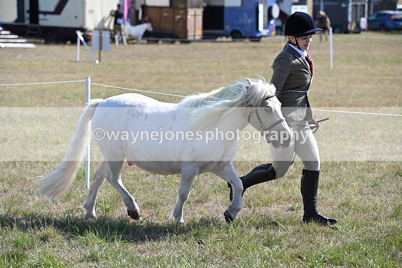 WJ6_4193 - Class 16 Condition & Turn Out