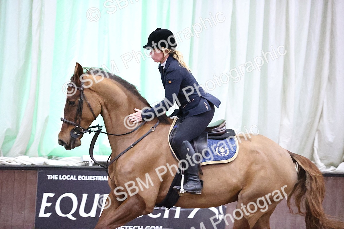 SBM_002749 - Class 14 - Senior British Novice - 90cm