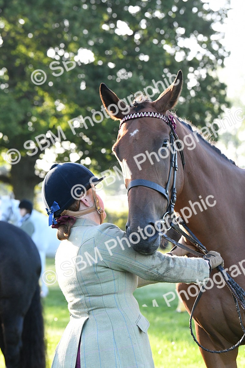 SBM_32671 - S15 - Condition & Turnout In Hand