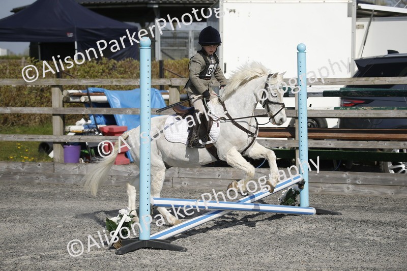 20250412-0203 - Show Jumping