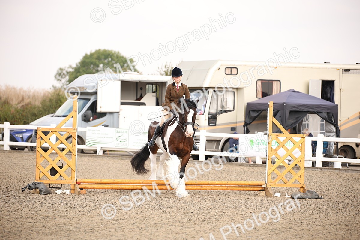 SBM_11674 - Class 404b Junior Working Veteran- 40cm(20+)