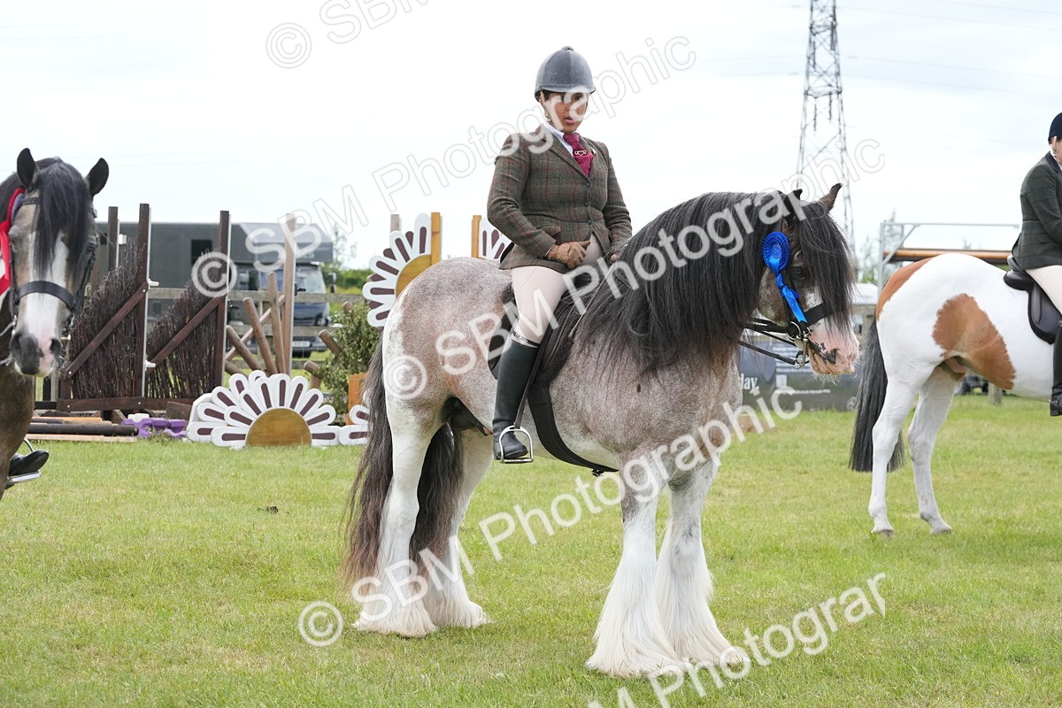 SBM_17678 - Class 107-108 - LIHS BSPS Performance Coloured Horse Pony