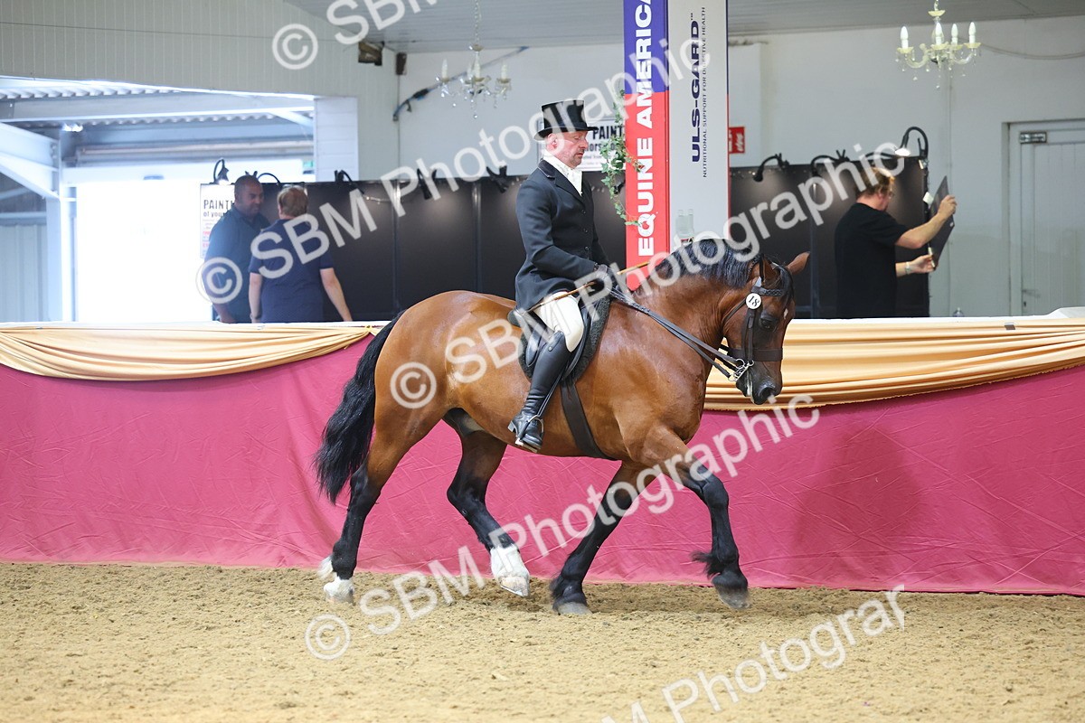 SBM_24320 - Class 906 - Supreme Final - Ridden Pre Vet