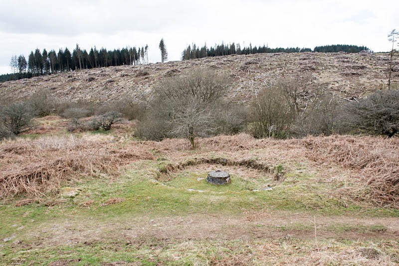 Buddle - Golden Dagger tin mine