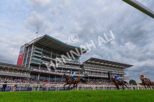 280723-Race 5-Midnight Mile-8876 - Race 5 7.15pm British EBF 40th Anniversary Lyric Fillies' Stakes