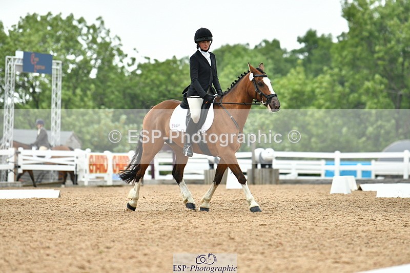 230708A-115059-02633 - Prelim 13