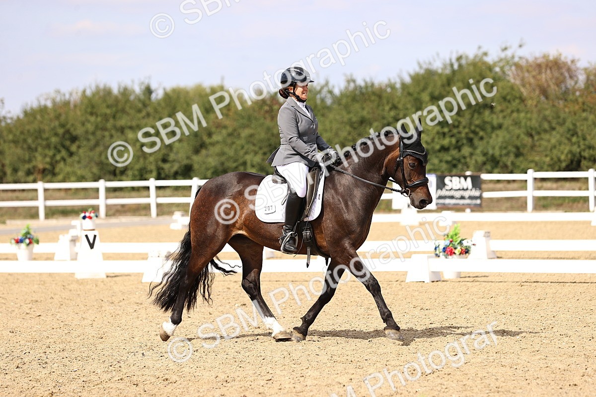 SBM_015029 - Class 6 - Elementary 5